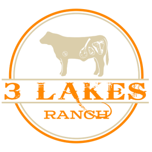 3LR_Logo_Transparent